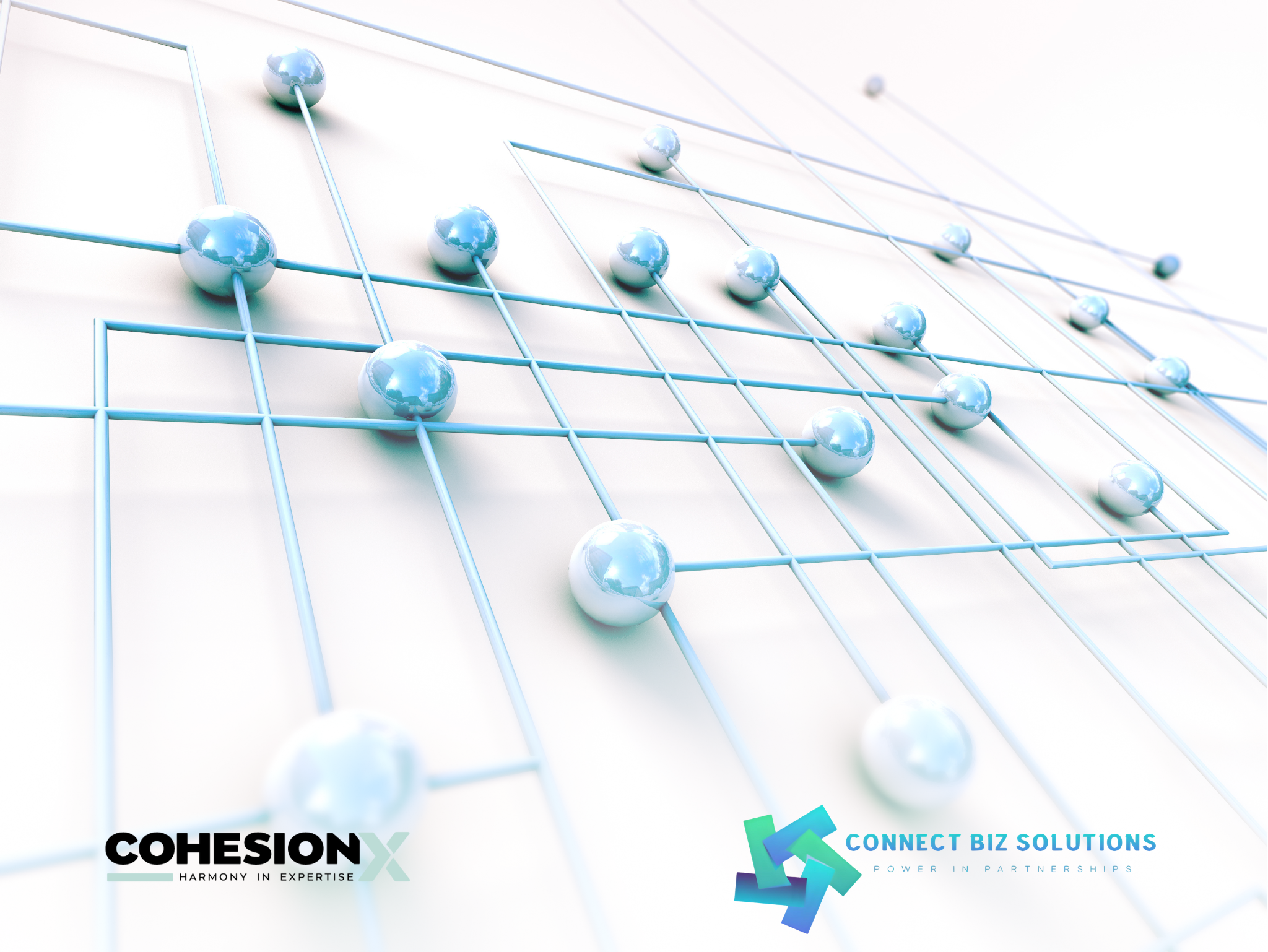 Partnership with Connect Biz Solutions banner 2 CohesionX